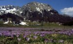 Campitello Matese